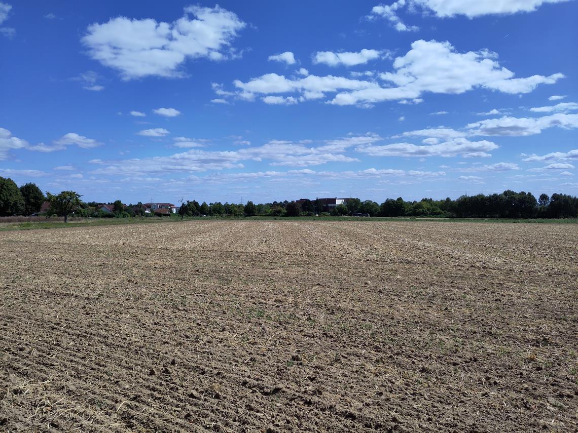 2025 08 22_blick_auf_suedcampus